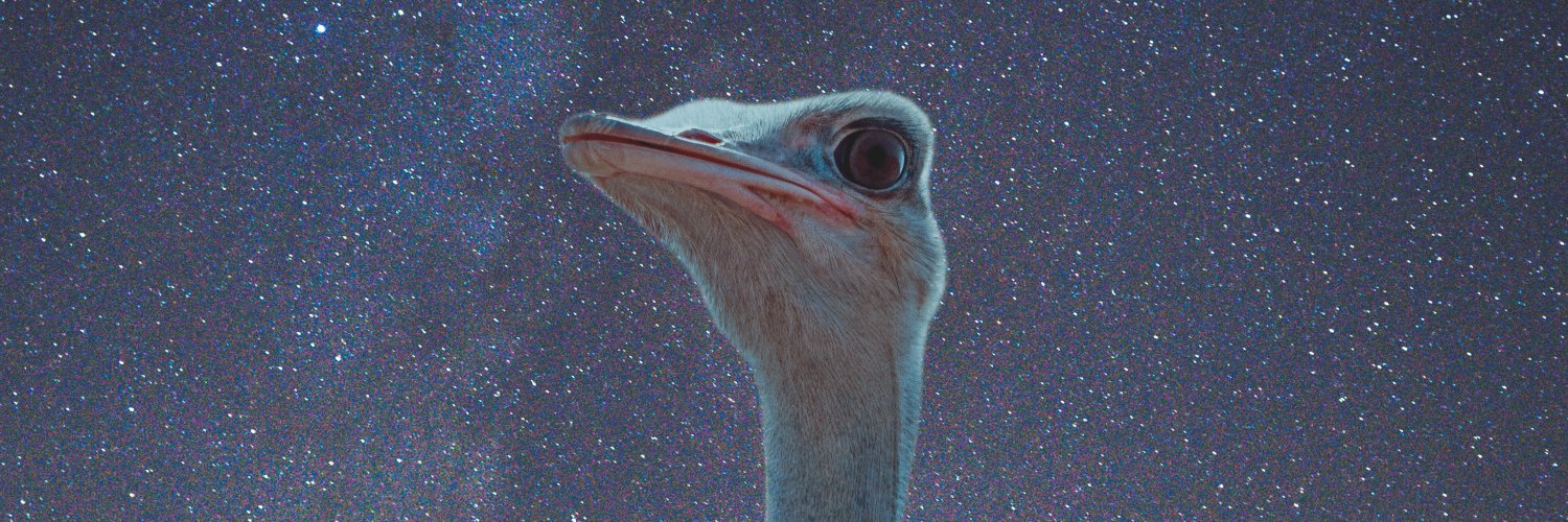 Sam aka ScaryBarbie 👽 banner