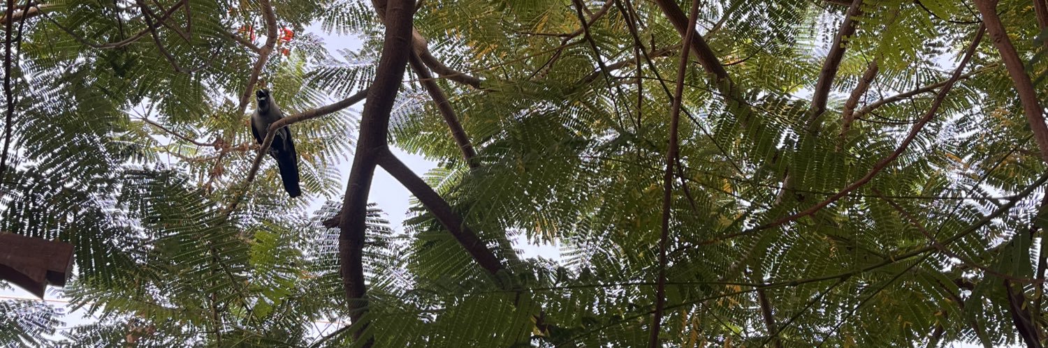 مریم banner