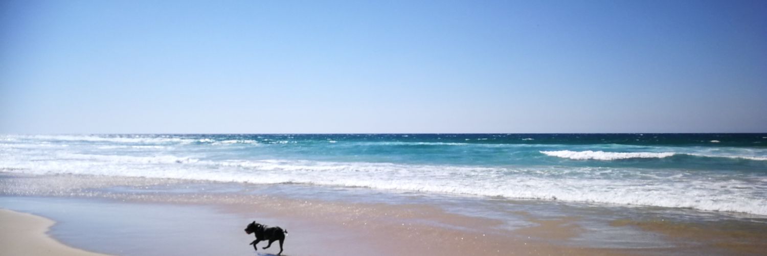 Mie🌻 banner