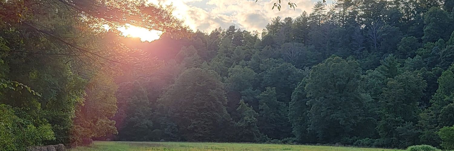 hokieman04's profile banner image