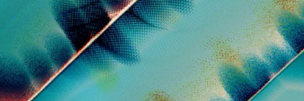 WiseSigmaToad Profile Banner