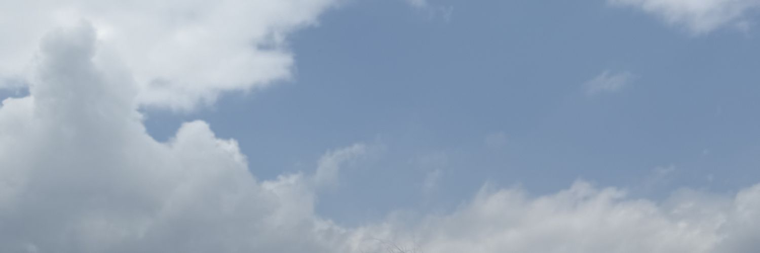 itsmarybecoming's profile banner image