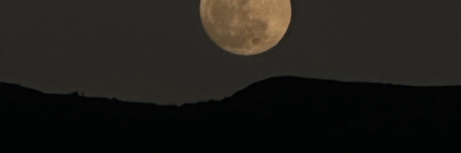 li_bello's profile banner image
