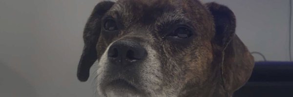 GirthyBurg Profile Banner