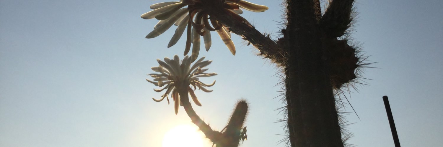 Patricio Adrián banner