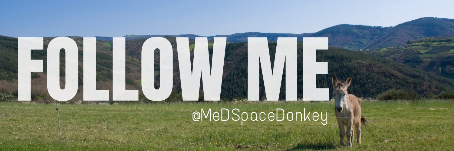 Space Donkey banner