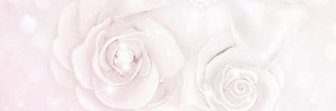 f banner