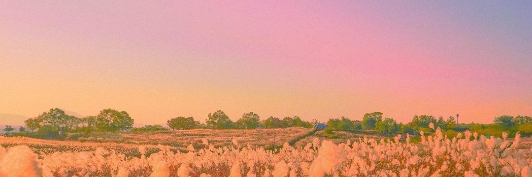 ChannieUnnie's profile banner image