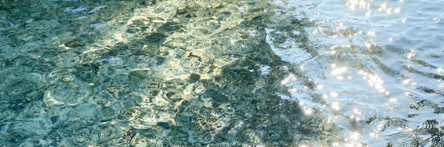 julie🌻 banner