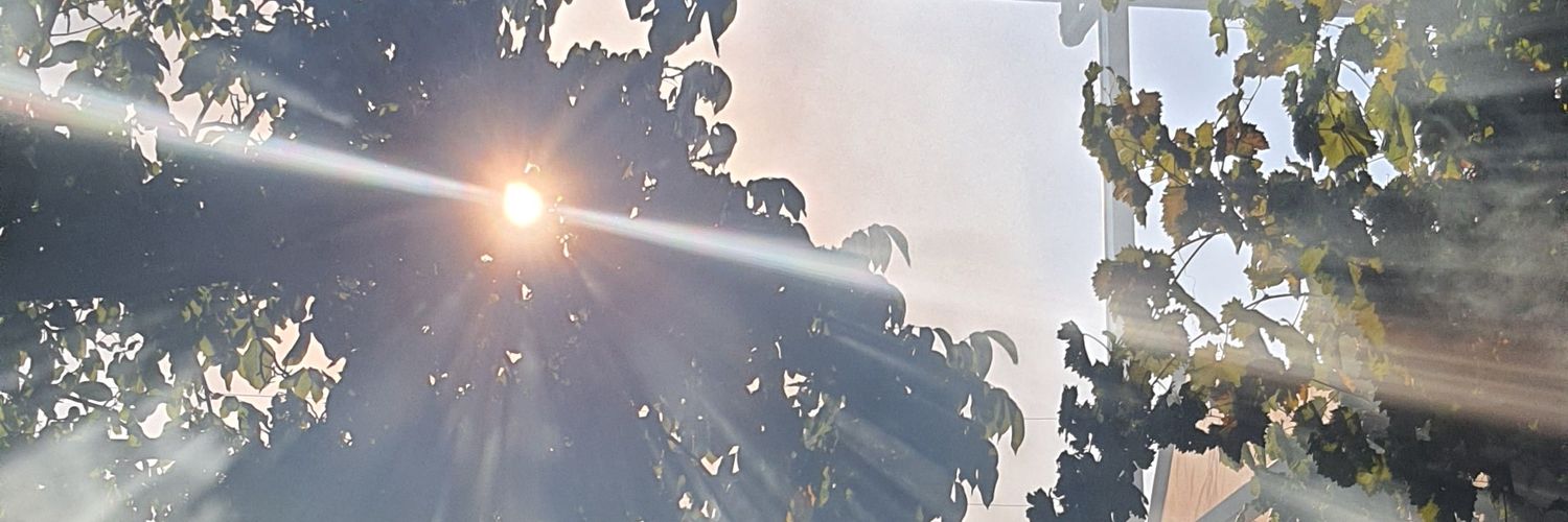 AhmetBorcak's profile banner image