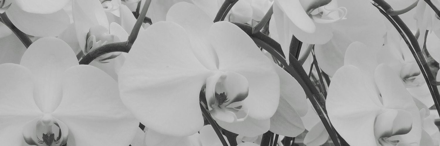 _helennn_'s profile banner image