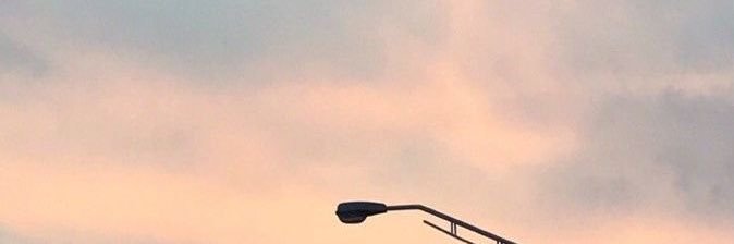 same banner