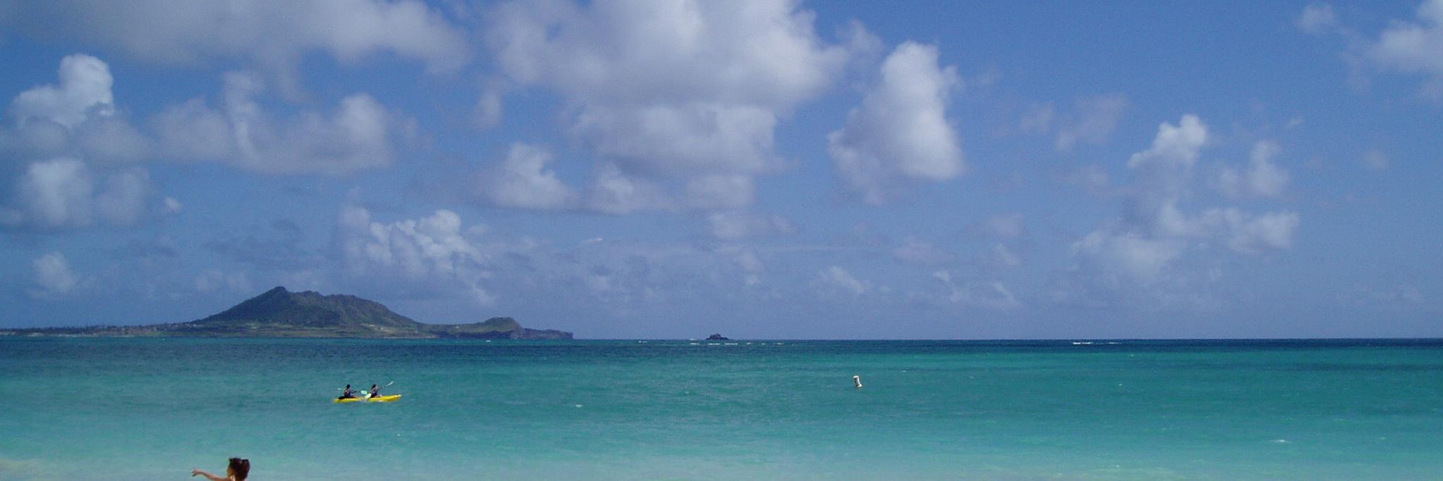 🦬yummy🏖️ banner