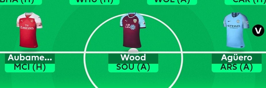 Draft Taniwha banner