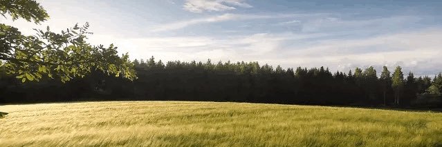 eisaaahh's profile banner image