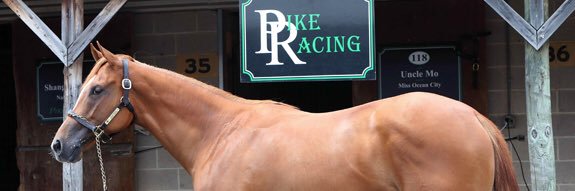 Pike Racing banner