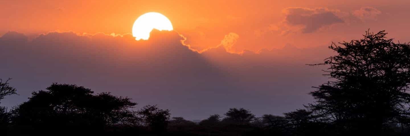 متاابع banner