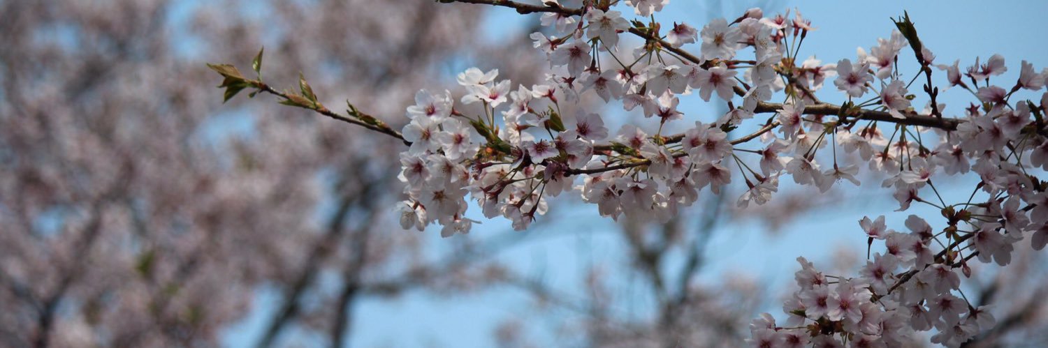 hiroki13135's profile banner image