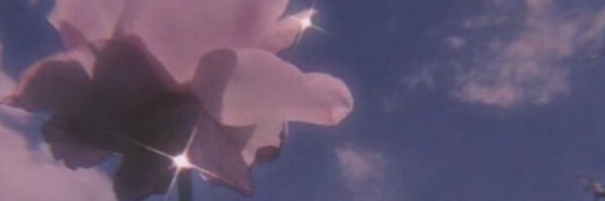 الفارس المجهول banner