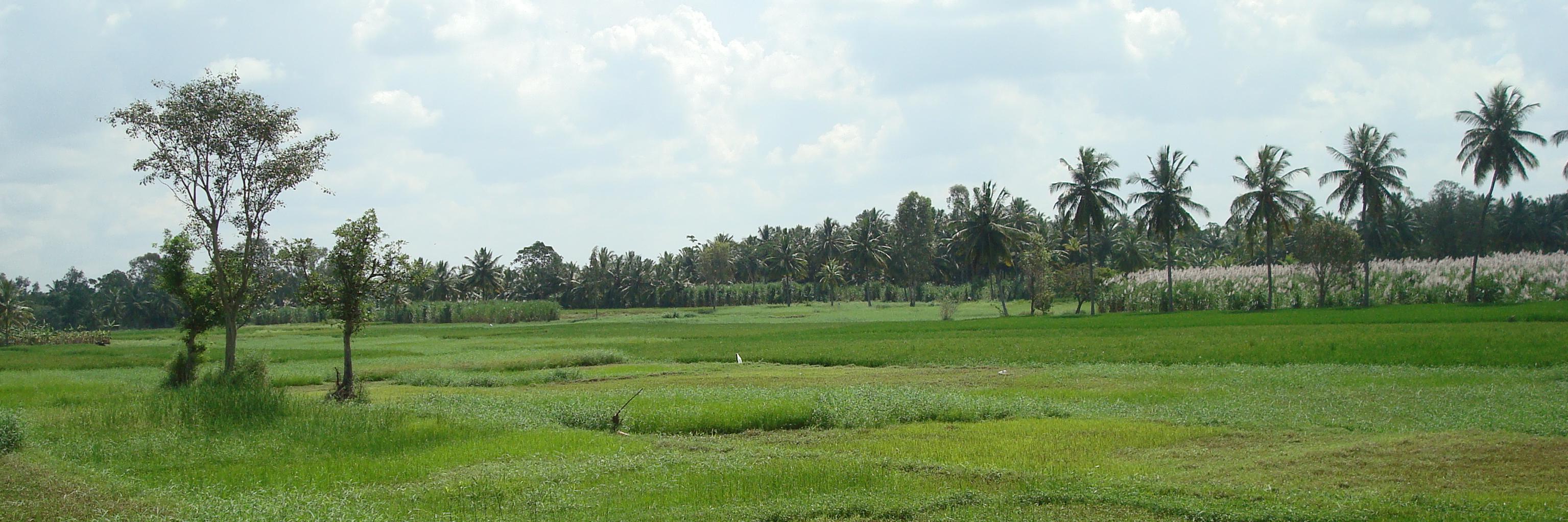 mahemys's profile banner image