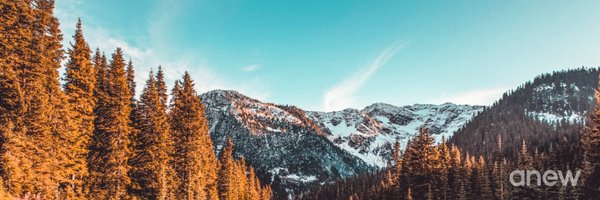anew_climate Profile Banner