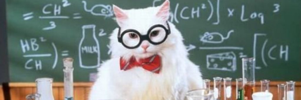 Katherine English banner