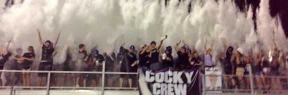 griddy griffins banner