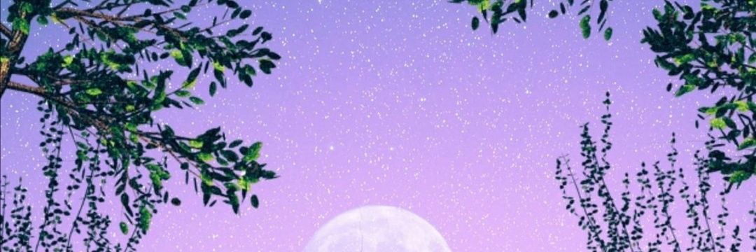 iwdrathernot's profile banner image