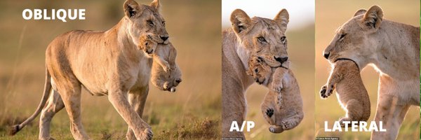 JohnRoubil Profile Banner