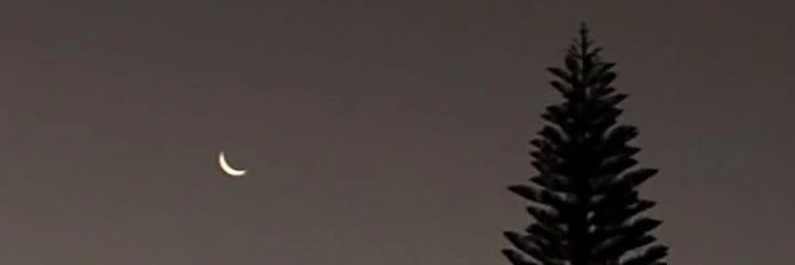 justArchiveX's profile banner image