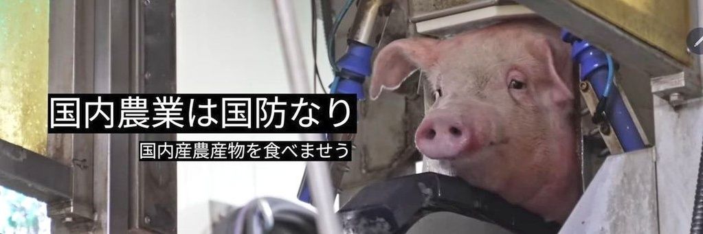 Pigslaughtered's profile banner image