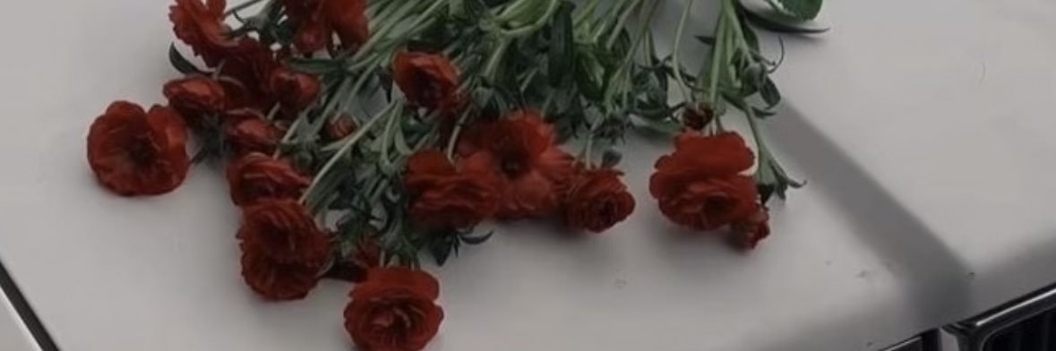 rezadit48's profile banner image