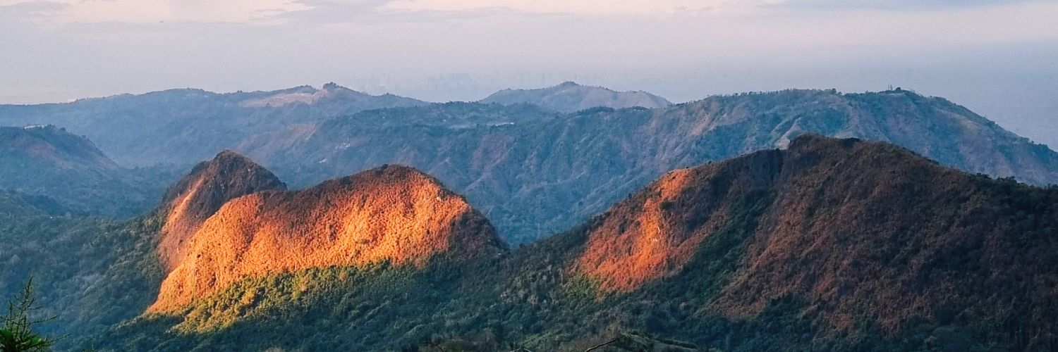 prnota_'s profile banner image