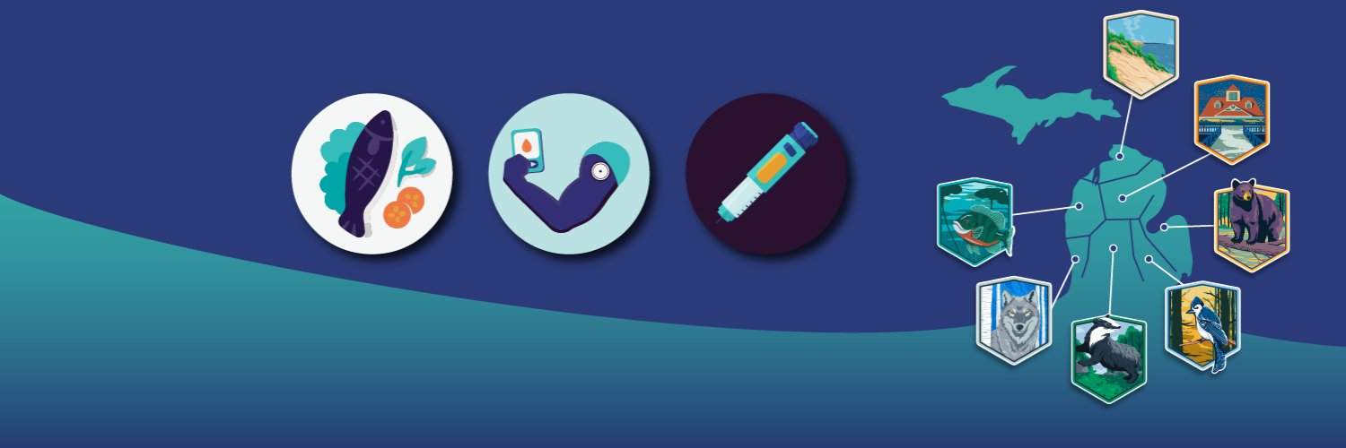 MCT2D | Michigan Collaborative for Type 2 Diabetes banner