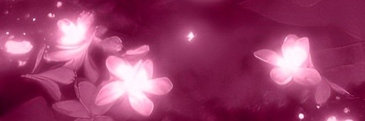 kosakoloverrr's profile banner image
