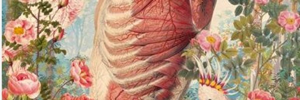 DrConinck's profile banner image
