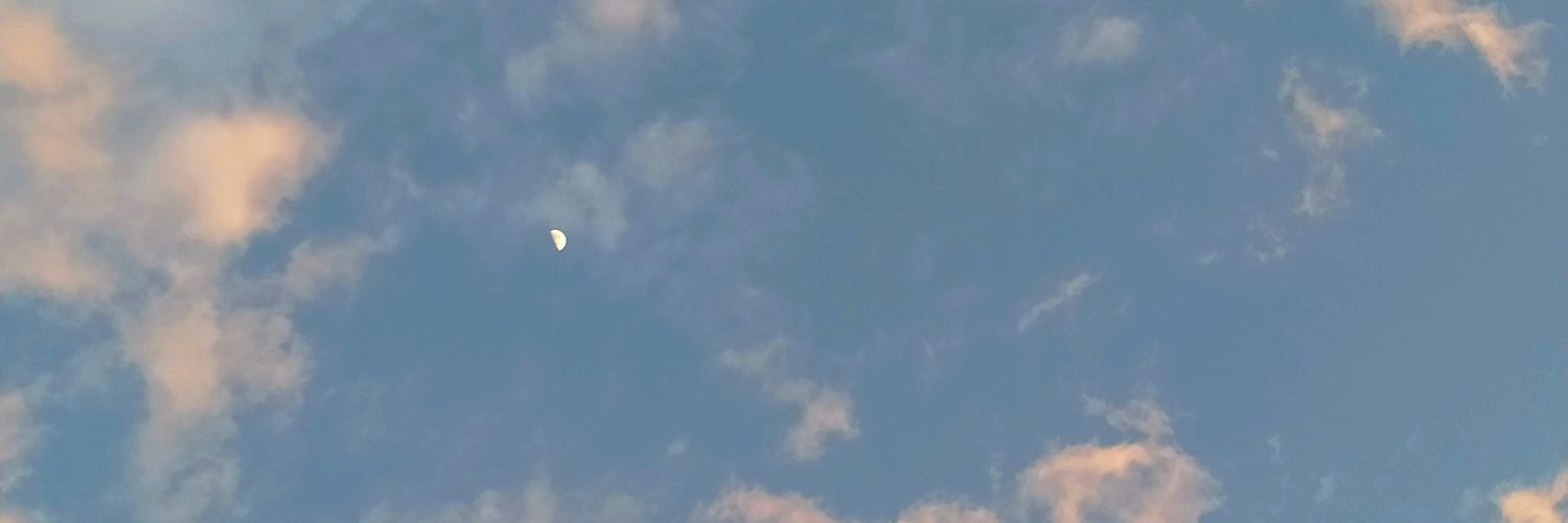 sue banner