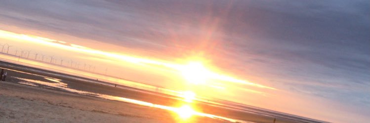 GraceBrodie9's profile banner image