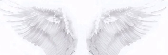 rory lovelace banner
