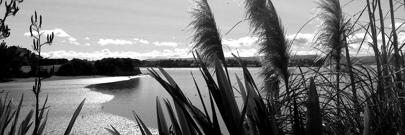 Craig Chivalry banner