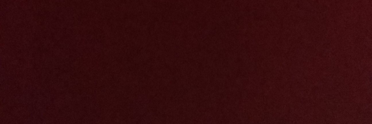 LeninTom's profile banner image