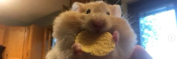 JomaaDesign Profile Banner