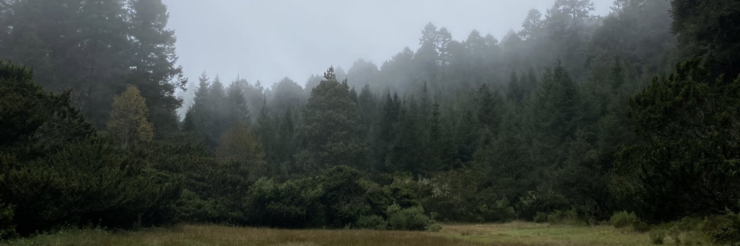 Edermtzv_'s profile banner image