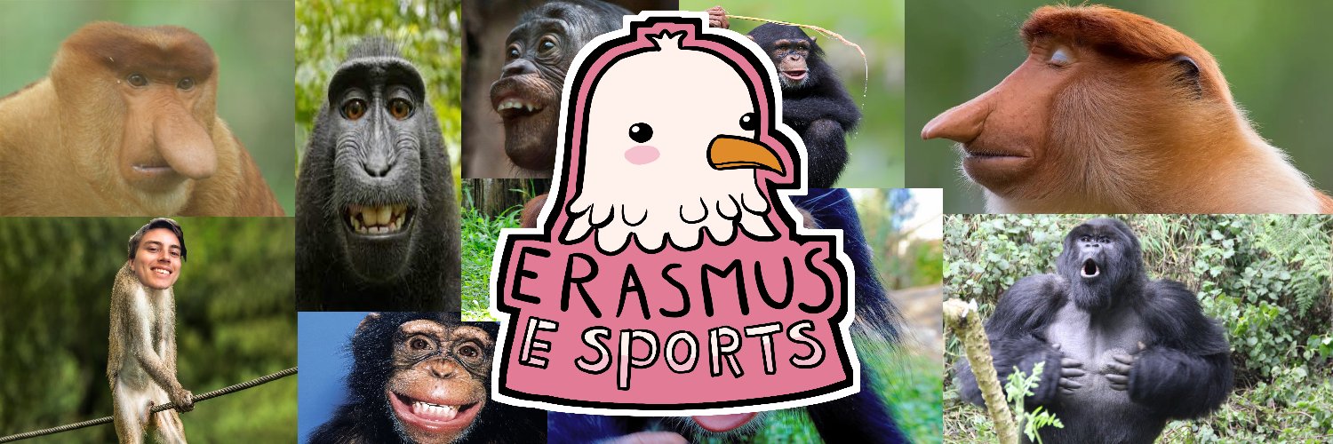 Erasmus Eagles banner