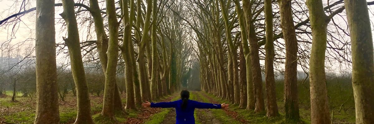 isagrosete's profile banner image