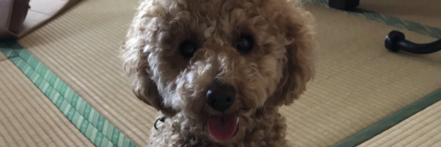 yiysssy's profile banner image