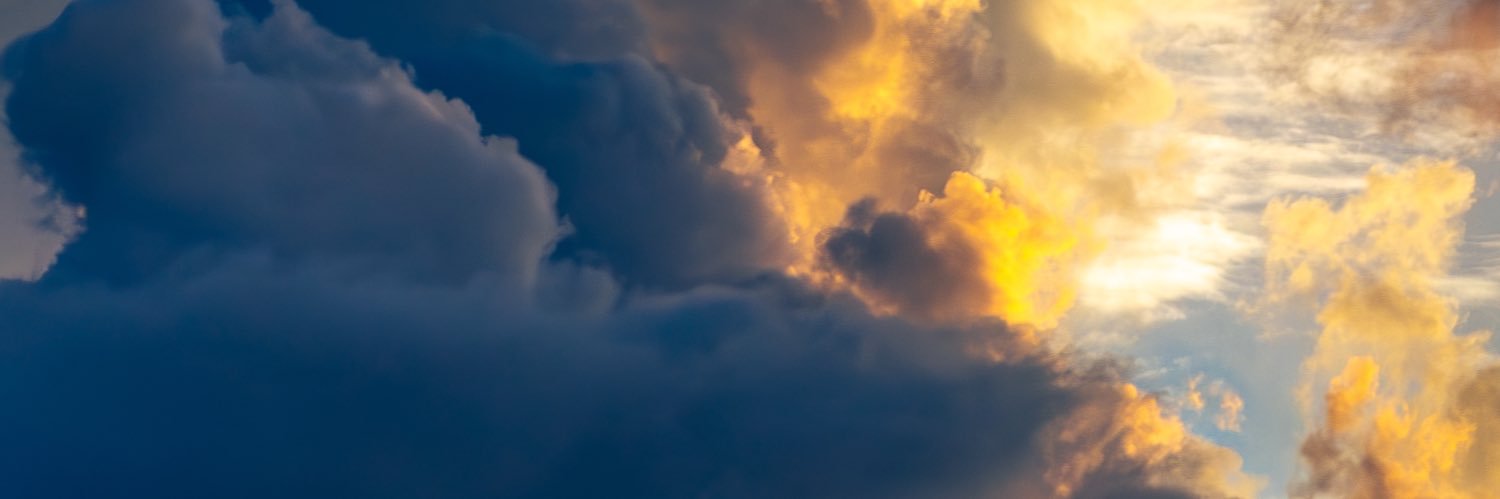 Fadil Inceoglu banner