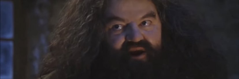 wizard_mma's profile banner image