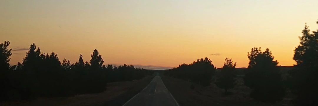 Jaranicolas4's profile banner image