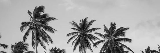 Mapperrrr's profile banner image